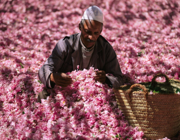 Il Marocco al profumo di rosa