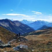 Editoriale 15 nov 2025