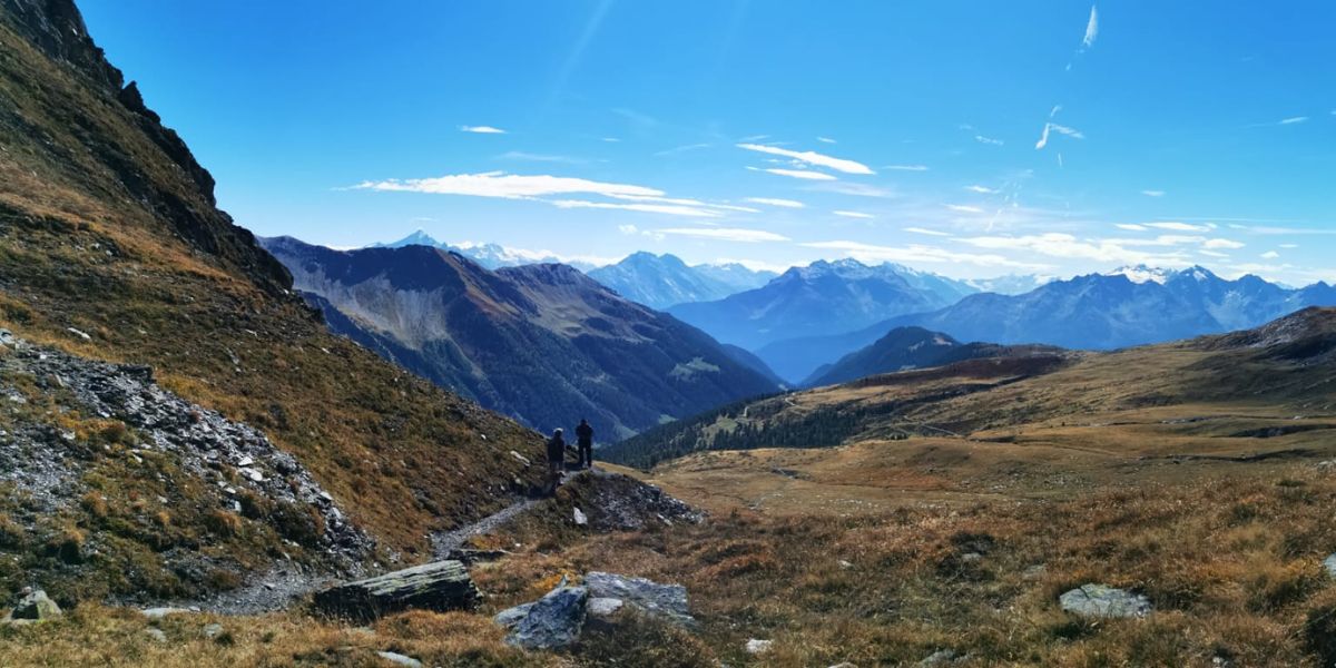 Editoriale 15 nov 2025