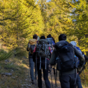 Il piacere dell'attesa